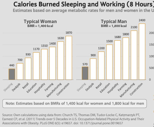 how-many-calories-do-you-burn-while-sleeping-play-book