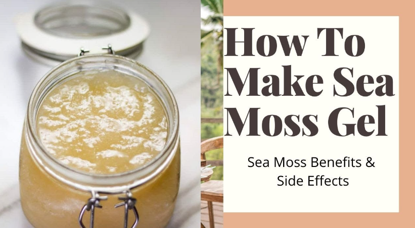 Sea Moss Gel Benefits