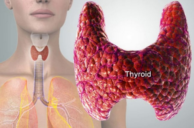 What are the best food to heal thyroid?